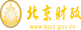 插b动态小视频北京市财政局