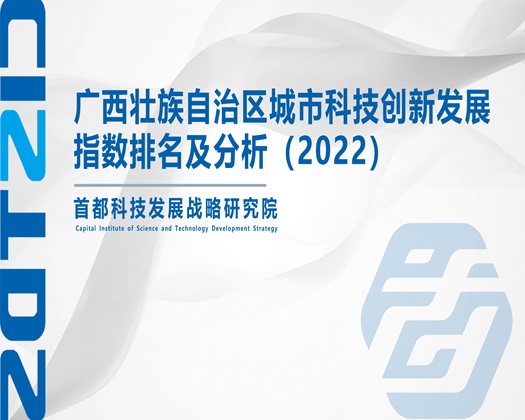 爽爽爽插逼网站【成果发布】广西壮族自治区城市科技创新发展指数排名及分析（2022）